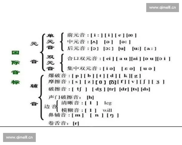 围绕match音标展开探讨其在语言学中的应用与意义